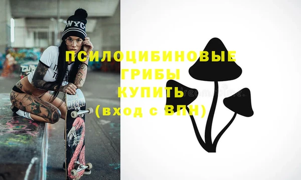 не бодяженный Абаза
