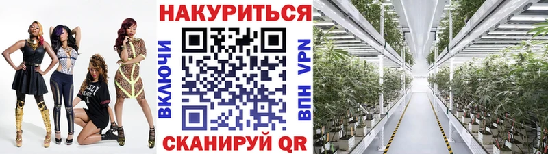 как найти закладки  Зеленодольск  Конопля AK-47 